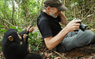 Oregon Zoo Pub Talks kick off with Gerry Ellis and GLOBIO’s Apes Like Us project.