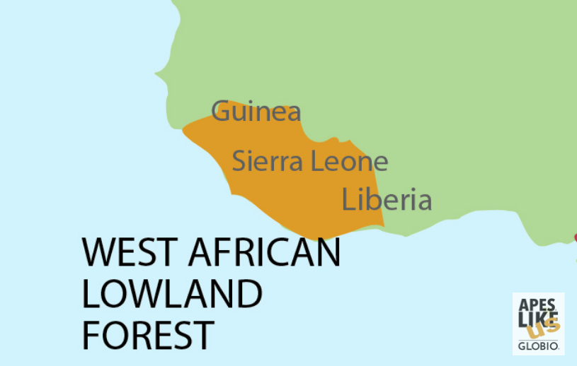 West African Lowland Forest Map - encompassing Guinea, Sierra Leone, and Liberia