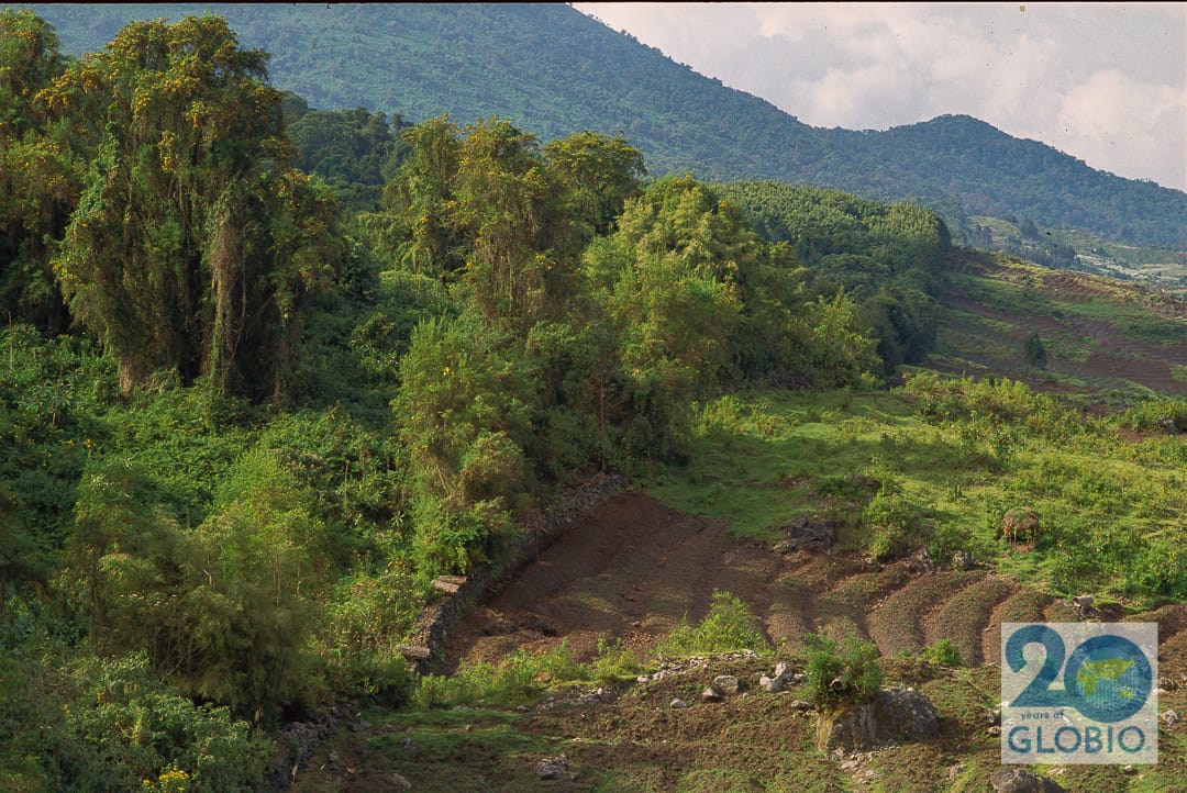 park boundary Virunga NP, Rwanda