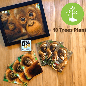 OTP Package: photo print, baby orangutan notecards, ALU sticker and 10 trees