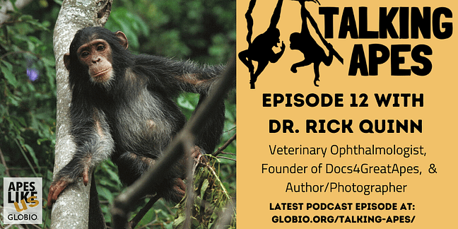 Talking Apes Episode 12 with Dr. Rick Quinn