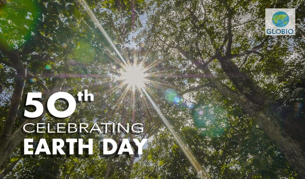 Earth Day Turns Fifty: A Gift of Trees