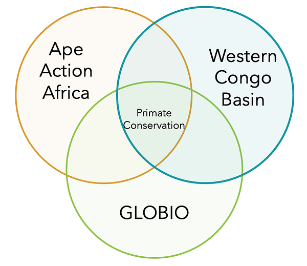 Ape Action Africa GLOBIO Venn Diagram
