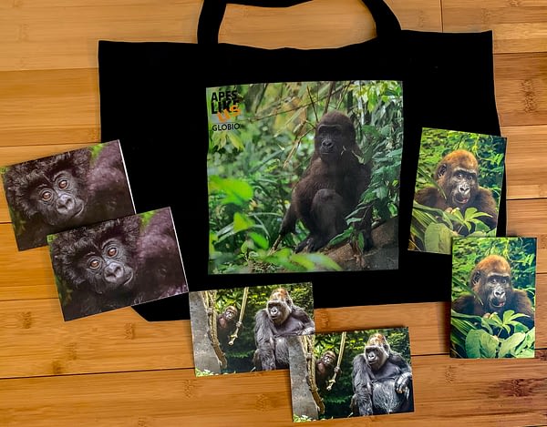 Gorgeous Gorillas Primate Package