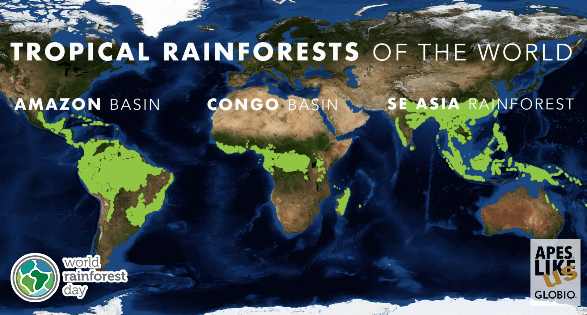 Map of Tropical Rainforest Range around the World