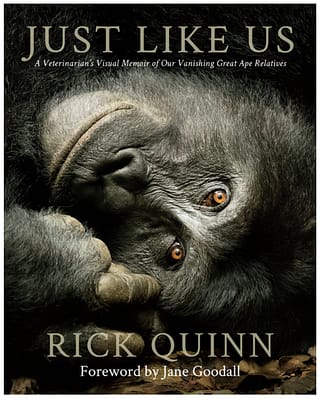 Just Like Us book cover