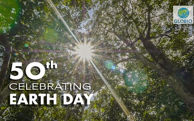 Earth Day Turns Fifty: A Gift of Trees
