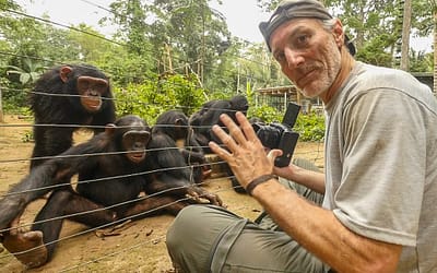 Gerry Ellis Chimpanzees in Africa with LUMIX at Pro Photo Supply
