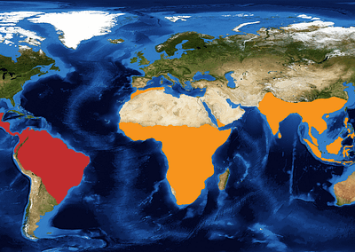 World Map - red indicating New World Primates, Orange indicating Old World Primates