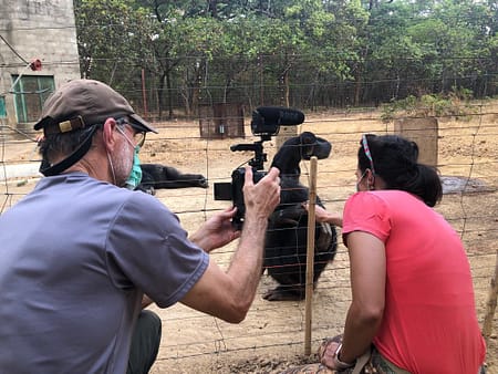 Gerry Ellis filming vet Thalita Calvi at Chimfunshi