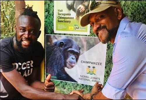 chimpanzee Sierra Leone national animal