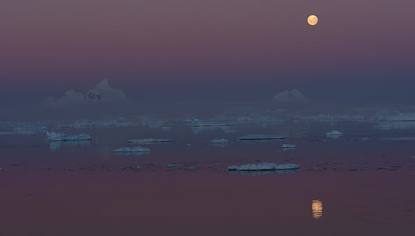 Alpenglow icebergs Antarctic Peninsula