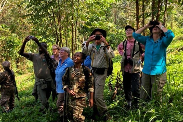 Travel with GLOBIO- Guests use binoculars to spot wild Chimpanzees in Bwindi, Uganda