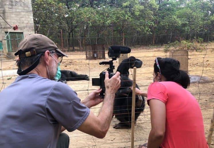 Gerry Ellis filming vet Thalita Calvi at Chimfunshi
