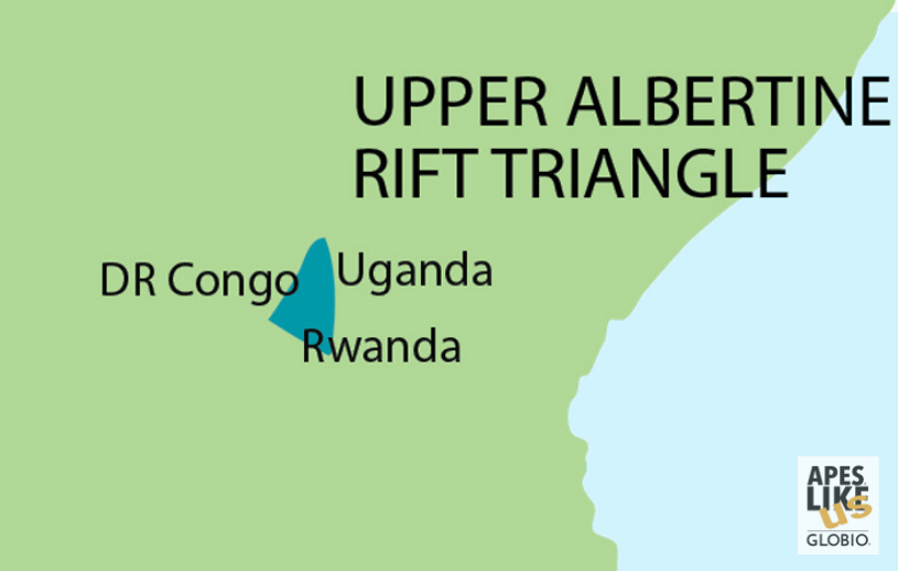 Upper Albertine Rift Triangle - Encompassing DR Congo, Rwanda, and Uganda